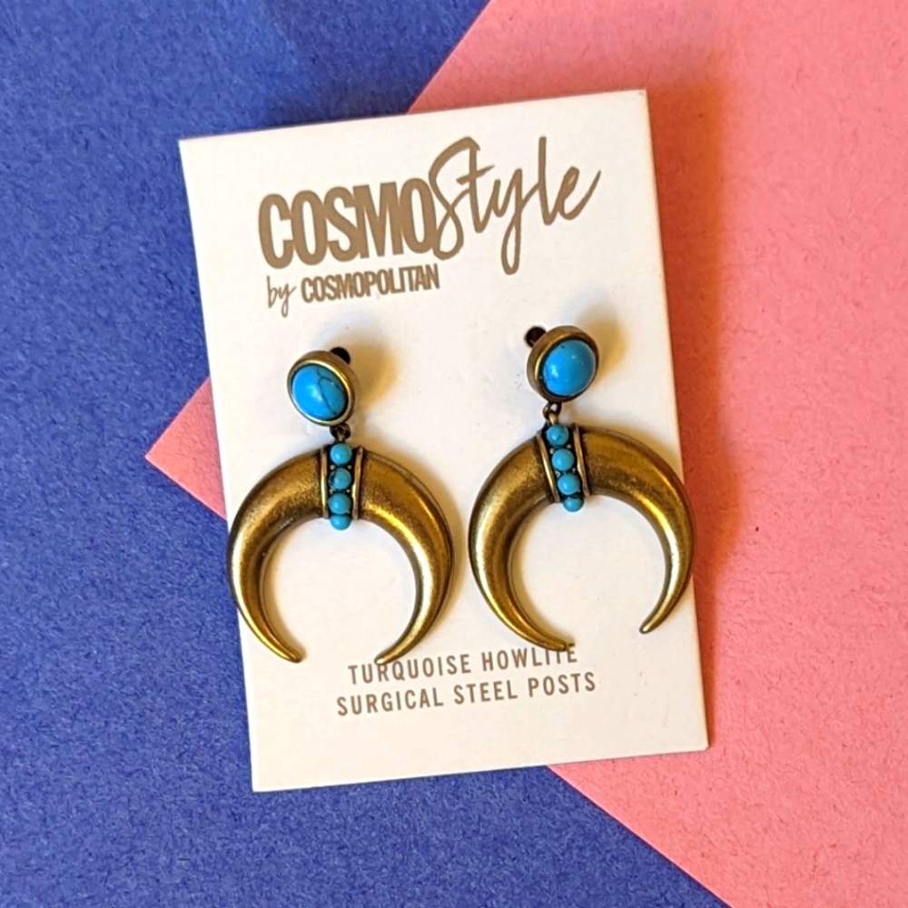 Turquoise howlite earrings